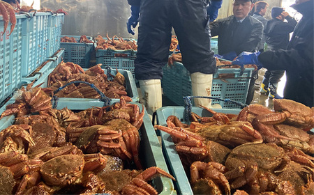 北海道オホーツク海産 訳あり　浜ゆで毛ガニ　2kg（冷凍）【07129】