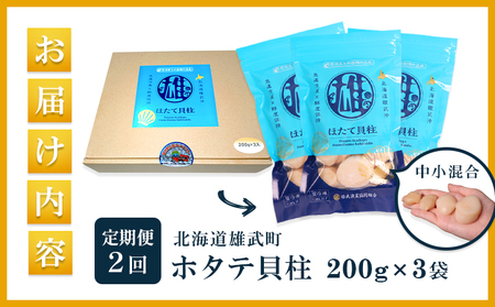 【定期便2回】　北海道雄武町産ほたて貝柱 中小混合 200g×3 (冷凍) 使い切りパック【0713602】