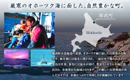 【定期便3回】　北海道雄武町産ほたて貝柱 中小混合 200g×3 (冷凍) 使い切りパック【0713702】