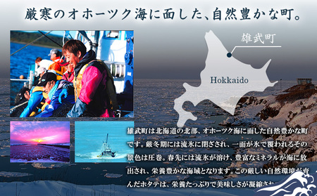 【オホーツク海の幸3種セット】ほたて貝柱 煮たこカット 煮つぶ(各200g×1袋)【0719601】