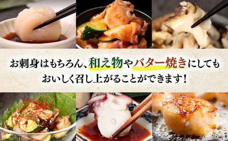 【オホーツク海の幸3種セット】ほたて貝柱 煮たこカット 煮つぶ(各200g×1袋)【0719601】