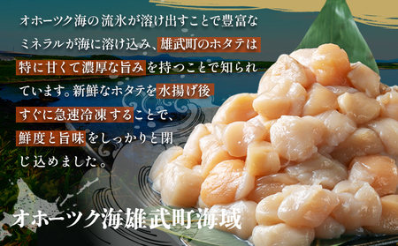 ほたて貝柱(ＢＣフレーク)1kg【12439】