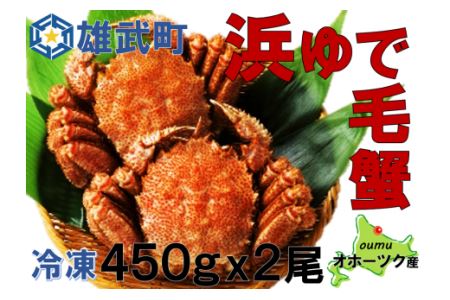 北海道雄武町産　毛がに（冷凍）(450g×2)【1240501】
