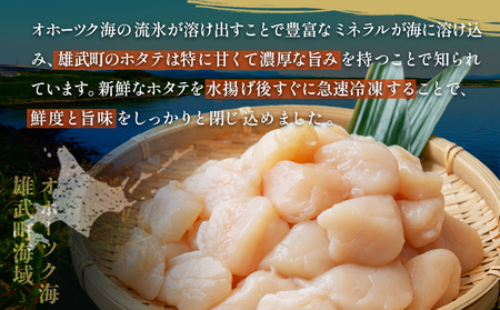 北海道雄武町産　ほたて貝柱(冷凍)Bフレーク 1kg[訳あり品]【1235602】