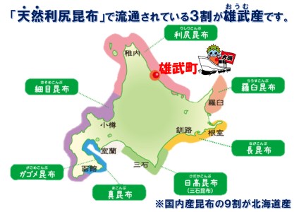 北海道雄武産 天然利尻昆布 根昆布 200ｇ【0110201】