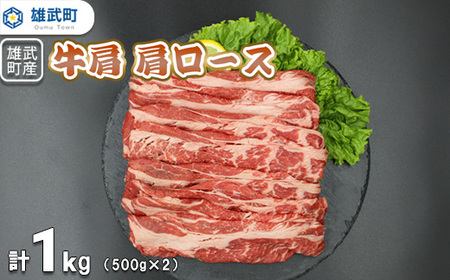北海道雄武町産　牛肉セット（冷凍）(牛肩ロース肉500g×2)【09117】