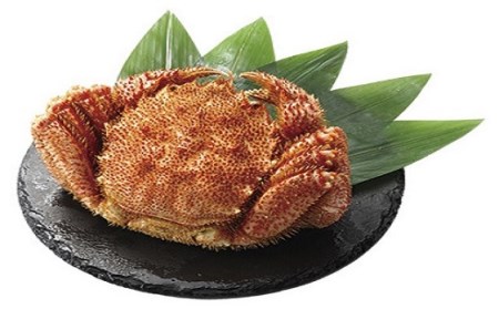 【北海道雄武町産】超特大毛がに900g前後×1（冷凍）【1231602】