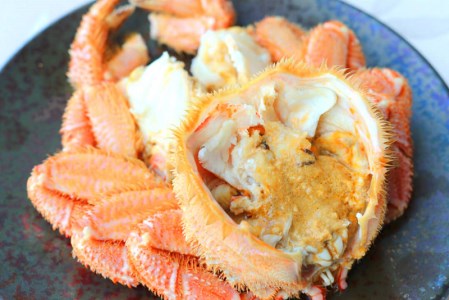 【北海道雄武町産】超特大毛がに900g前後×1（冷凍）【1231602】