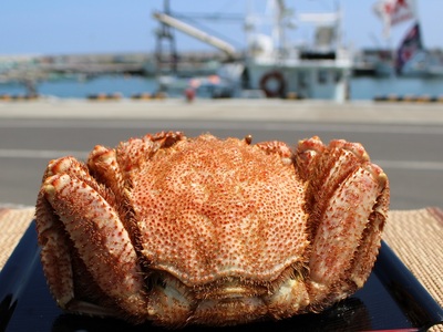 北海道雄武町産メガサイズ！毛ガニ(冷凍)1kg前後×1尾【1237801】