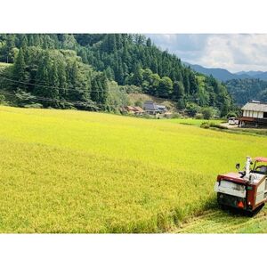 【令和7年産】コシヒカリ　白米5kg×2袋　計10kg【1441136】