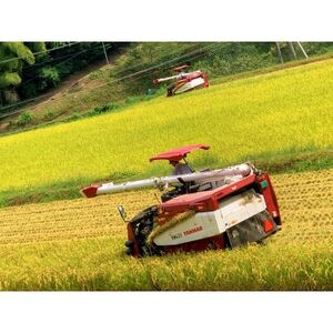 【令和7年産】コシヒカリ 玄米5kg×2袋 計10kg【1443662】