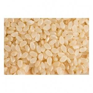 【令和7年産】コシヒカリ 玄米5kg×2袋 計10kg【1443662】