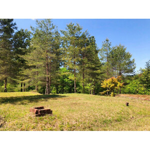 すぎまりキャンプ場 オートサイト1泊利用券(1~7名様)【ペットOK】【1524990】