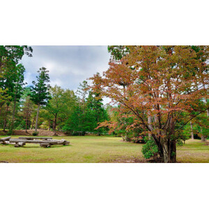 すぎまりキャンプ場 オートサイト1泊利用券(1~7名様)【ペットOK】【1524990】