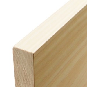 安芸太田町産ひのき1枚板まな板 (長方形・S)【1082696】