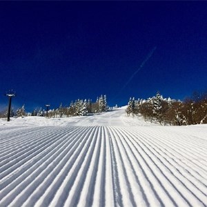 恐羅漢スノーパーク　リフト券と食事券ペアチケット【1028040】