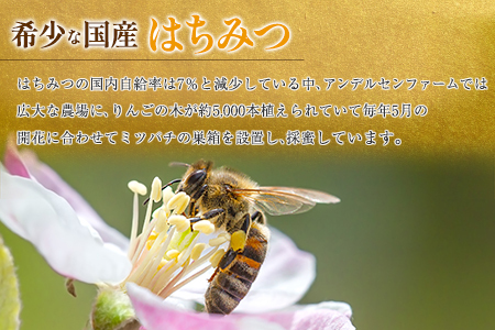 広島アンデルセン　アンデルセンファームのはちみつ（300g×2本セット） AN008_014