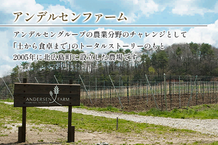 広島アンデルセン　アンデルセンファームのはちみつ（300g×2本セット） AN008_014