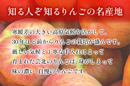 りんご 国産 3kg 農家直送 中前農園 芸北りんご 林檎 シナノスイート ぐんま名月 ジョナゴールド ふじ_NA099_001