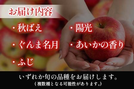 りんご 訳あり ご家庭用 5kg おかざき農園の芸北りんご 農家直送 秋ばえ 陽光 ぐんま名月 あいかの香り ふじ_OK097_002