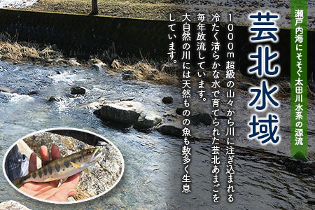 ＜2024年年券＞八幡川漁業協同組合管内　渓流釣り遊漁証　一般（高校生以上） YA103_001