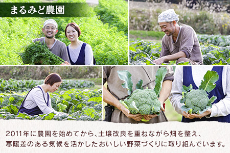 『定期便』全6回 野菜セット 詰め合わせ まるみど農園の季節のお野菜便 毎月 9種類 旬 農家直送 国産 送料無料_MA105_001s6