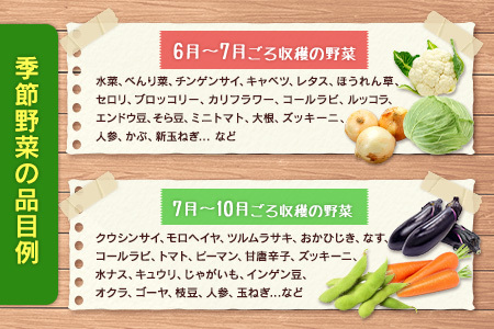 『定期便』全6回 野菜セット 詰め合わせ まるみど農園の季節のお野菜便 毎月 9種類 旬 農家直送 国産 送料無料_MA105_001s6