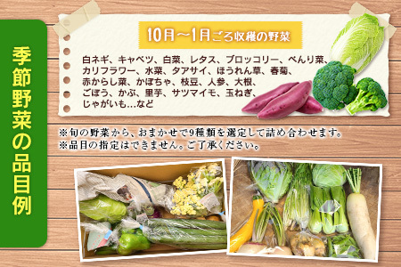 『定期便』全6回 野菜セット 詰め合わせ まるみど農園の季節のお野菜便 毎月 9種類 旬 農家直送 国産 送料無料_MA105_001s6