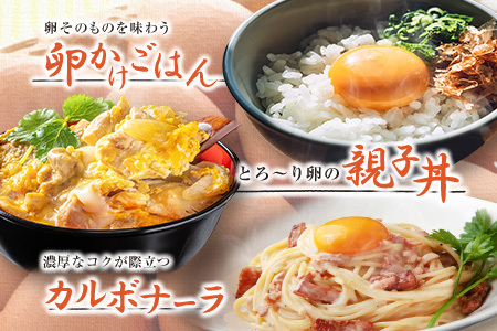 卵 ちよだファームのたまご 華味卵 はなみらん 60個（50個＋割れ補償10個）_FR109_001