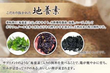 卵 ちよだファームのたまご 華味卵 はなみらん 60個（50個＋割れ補償10個）_FR109_001