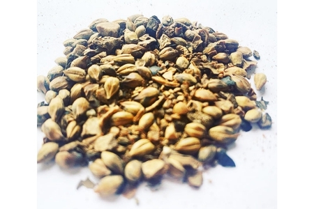 お茶 菊芋麦茶 ティーバッグ 12包_FU035_007