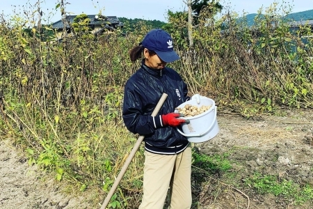 お茶 菊芋麦茶 ティーバッグ 12包_FU035_007