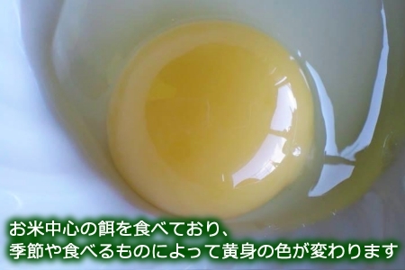 『定期便』全6回 卵 平飼い 30個 ふぁーむbuffo 毎月届く定期便_FA090_001s6