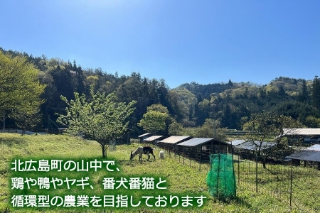 『定期便』全6回 卵 平飼い 30個 ふぁーむbuffo 毎月届く定期便_FA090_001s6