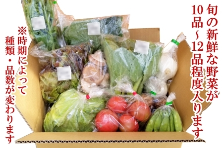 『定期便』全3回 野菜 おまかせセット 毎月届く定期便 旬 道の駅直送 季節野菜 豊平どんぐり村 さんさん市_SA073_001s3