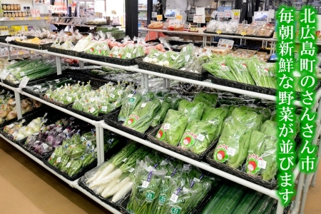 『定期便』全3回 野菜 おまかせセット 毎月届く定期便 旬 道の駅直送 季節野菜 豊平どんぐり村 さんさん市_SA073_001s3