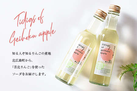 りんごソーダ 芸北りんご便り 炭酸ジュース 200ml 6本_HA095_004
