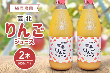 りんごジュース 芸北りんご 槇原農園 果汁100% ストレートジュース 1,000ml  2本_MA077_003