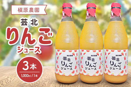 りんごジュース 芸北りんご 槇原農園 果汁100% ストレートジュース 1,000ml  3本_MA077_004