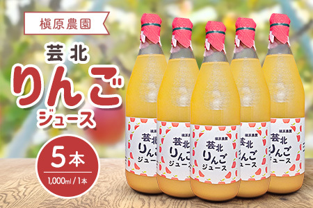 りんごジュース 芸北りんご 槇原農園 果汁100% ストレートジュース 1,000ml  5本_MA077_005
