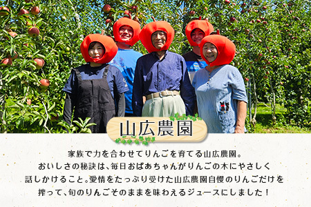 りんごジュース 芸北りんご 山広農園 果汁100% ストレートジュース 1,000ml  3本_YA023_002