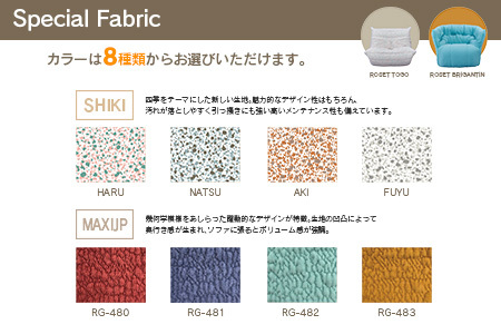 《期間＆数量限定》ソファ インテリア ligne roset リーン・ロゼ ブリガンタン 1人掛けソファ＆パフ記念セット ミッシェル・デュカロワ生誕100周年フェア_OD032_022