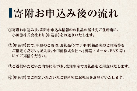 《期間＆数量限定》ソファ インテリア ligne roset リーン・ロゼ ブリガンタン 1人掛けソファ＆パフ記念セット ミッシェル・デュカロワ生誕100周年フェア_OD032_022