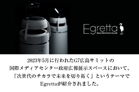 オオアサ電子　Egretta(エグレッタ)無指向性バスレフ・タワー型スピーカー TS1000 OE025_004