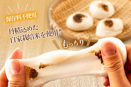 おもち 20個 へんぽこ茶屋 つきたて生餅 つきたて冷凍_HE057_002
