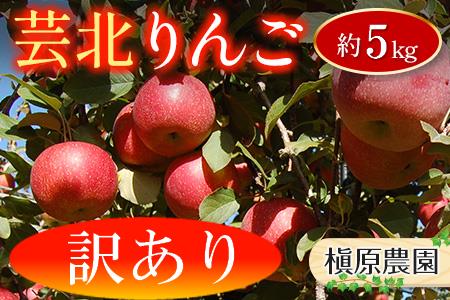 りんご 訳あり ご家庭用 約5kg 槇原農園の芸北りんご 農家直送 シナノスイート ぐんま名月 シナノゴールド ふじ_MA077_002