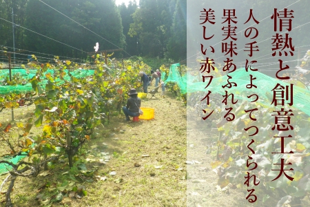 ホッコーワイナリー　山紫野（ヤマソーヴィニヨン）　KA038_016