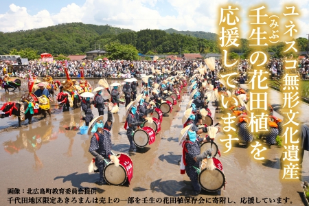 『定期便』全12回 特別栽培米あきろまん 精米 5kg  毎月届く定期便 米どころ北広島町のおいしいお米_JA018_005s12