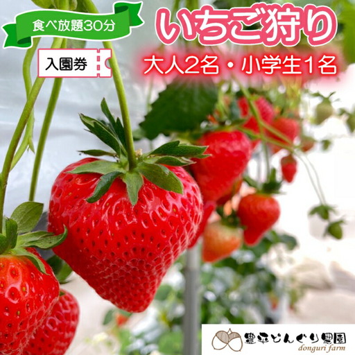 いちご狩りチケット 豊平どんぐり農園 ファミリー 大人2名小学生1名分 30分食べ放題 広島県北広島町_TO005_008