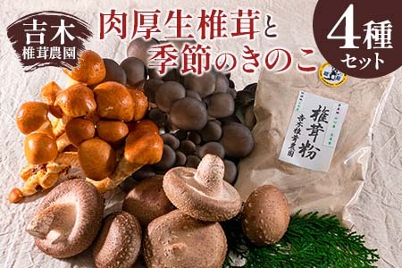 吉木椎茸農園　肉厚生椎茸と季節のきのこセット YO087_001